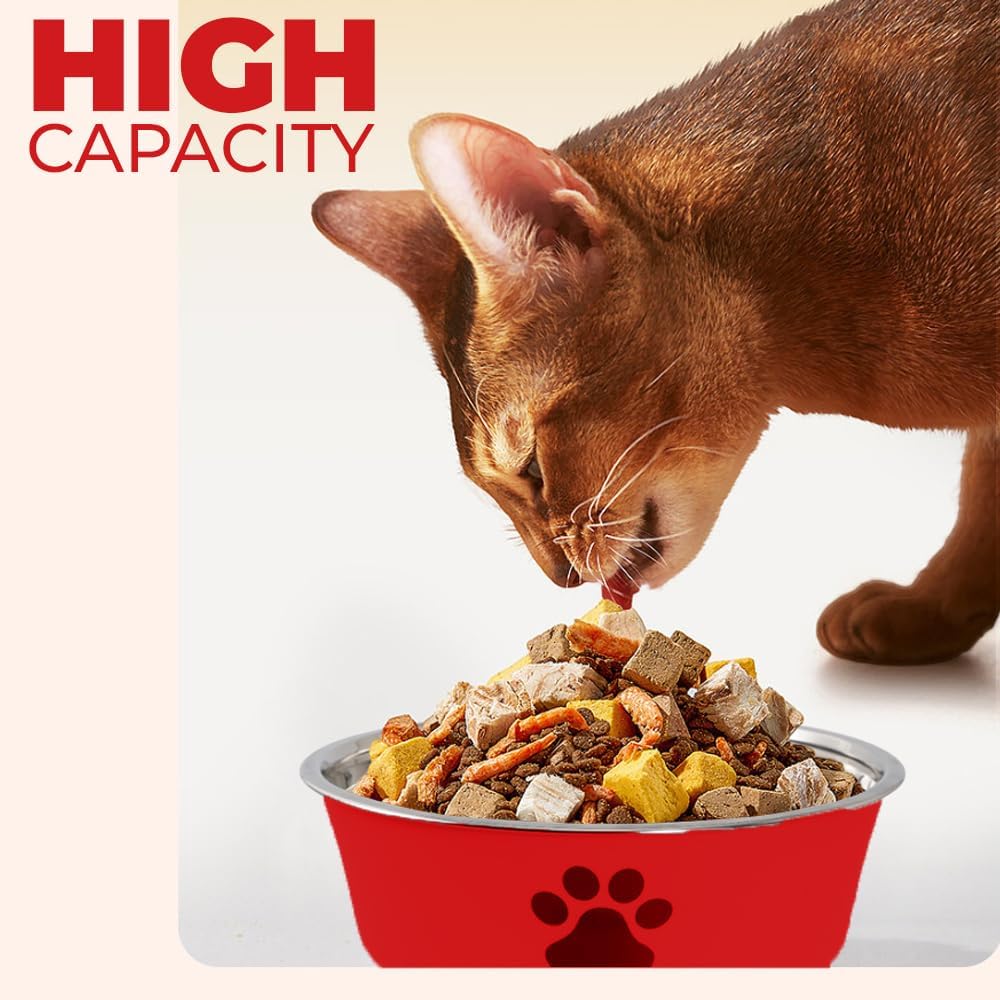 عبوة من قطعتين من أوعية طعام الكلاب المصنوعة من الفولاذ المقاوم للصدأ من أميرتير