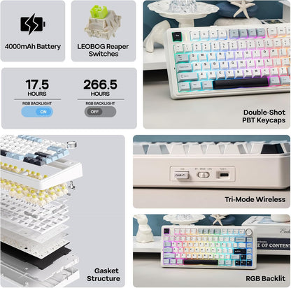 EPOMAKER x AULA F75 Gasket Mechanical Keyboard