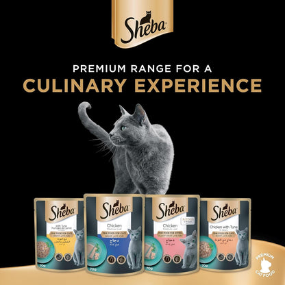 شيبا بريميوم لوف تونة مع اليقطين والجزر 12 × 70 غرام