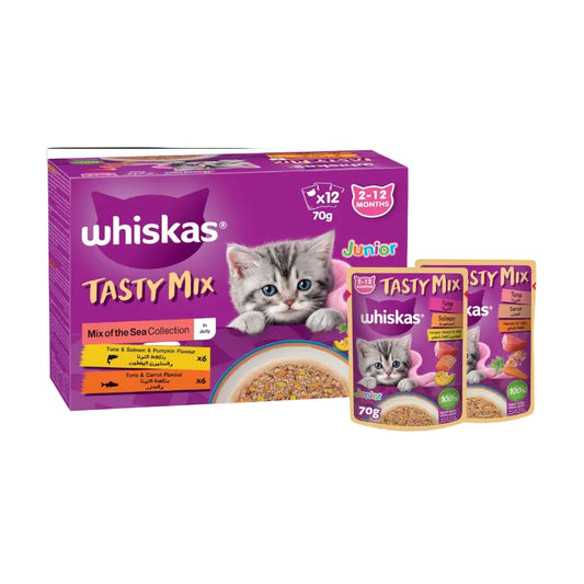 ويسكاس جونيور مزيج لذيذ، عبوة من 12 قطعة × 70 غرام
