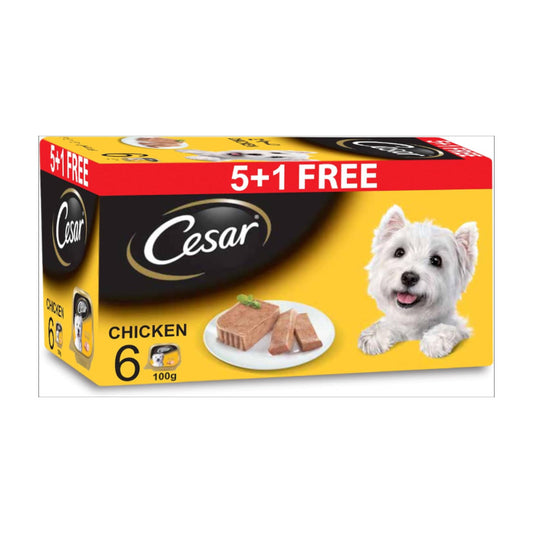Cesar Dog Food, Chicken Dog Wet Food, Tray of 6x100g