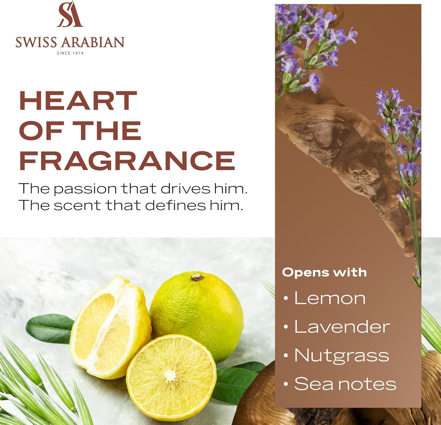 سويس ارابيان شغف للرجال - أو دي بارفان، 75 مل