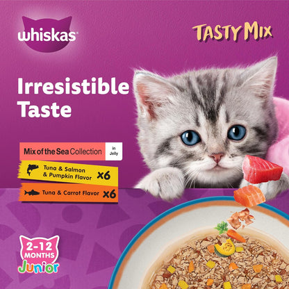 ويسكاس جونيور مزيج لذيذ، عبوة من 12 قطعة × 70 غرام