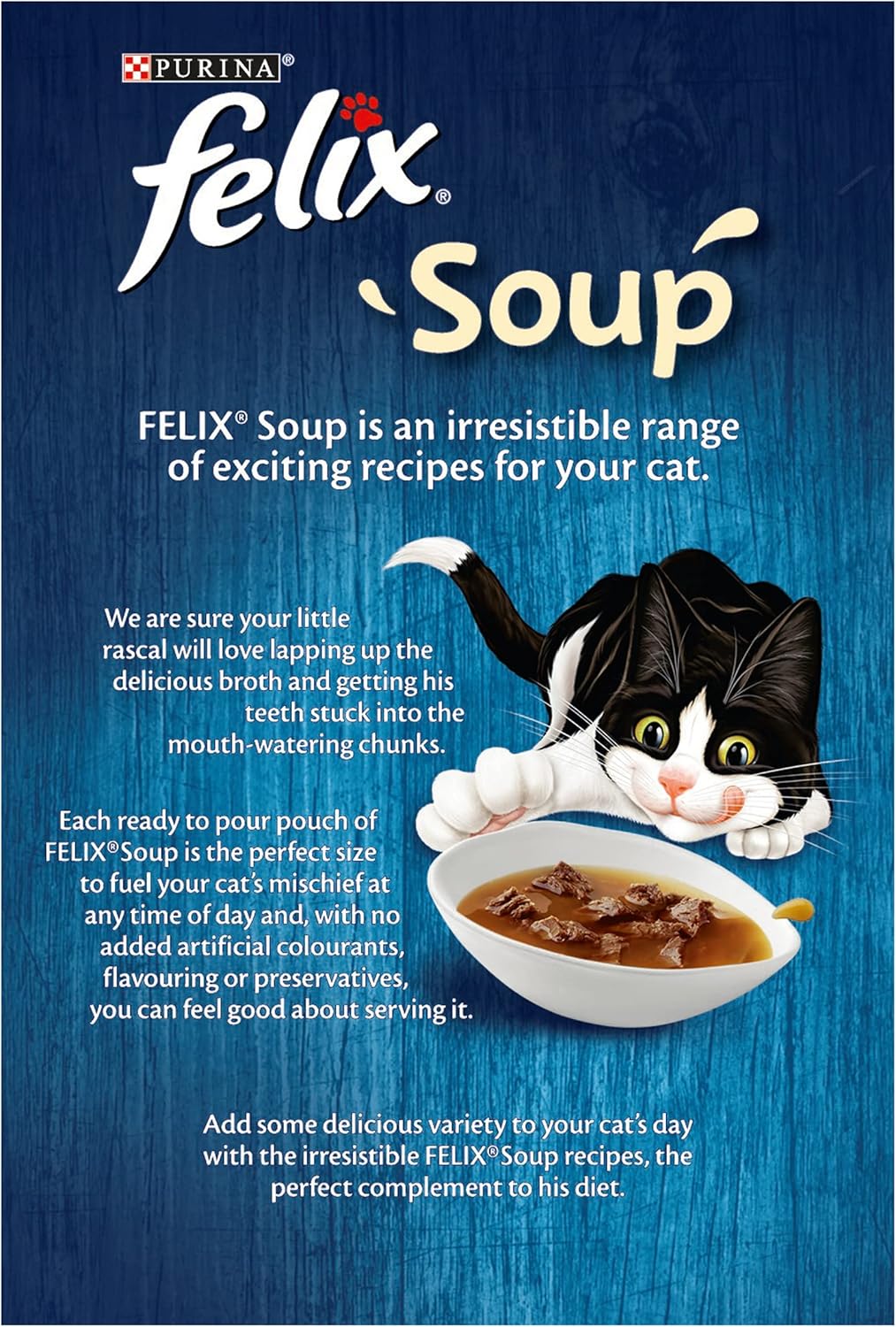 شرائح شوربة فيليكس الطرية 6 × 48 غرام