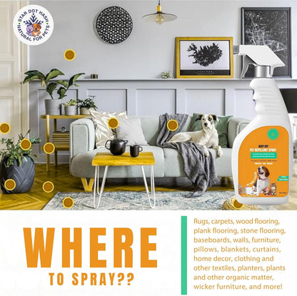 بخاخ طارد للبول للقطط والكلاب من ستار دوت هاش، 500 مل