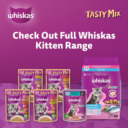 ويسكاس جونيور مزيج لذيذ، عبوة من 12 قطعة × 70 غرام