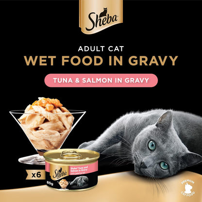 طعام قطط شيبا بنكهة التونة والسلمون، عبوة من 6 علب × 85 غرام